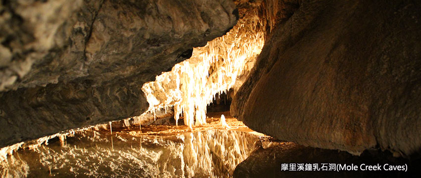 塔斯馬尼亞-摩里溪鐘乳石洞